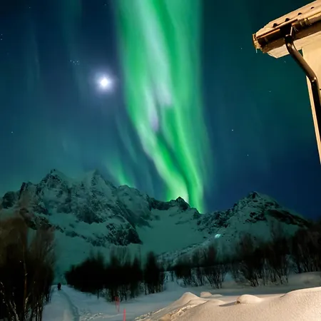 Camp Mefjord * Senja