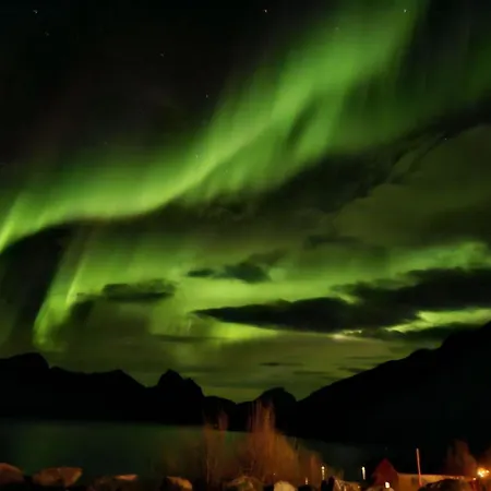 Camp Mefjord * Senja
