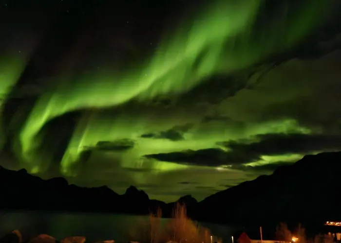 Camp Mefjord * Senja